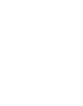 icono1